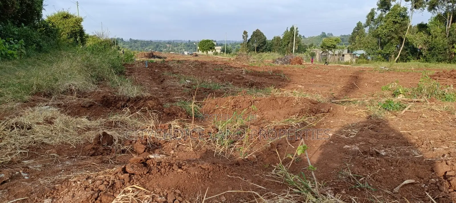 Prime Kamangu Kikuyu Plots for Sale - Affordable 50x100 Sizes in Karai