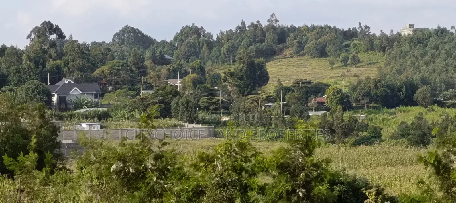 Spacious 50x100 Land for Sale in Kamangu Kikuyu in Karai