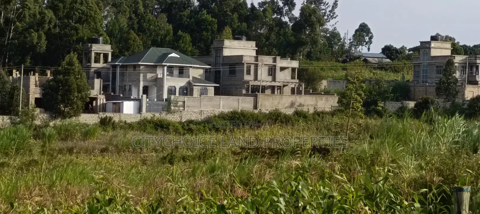 Spacious 50x100ft Plot in Kamangu Kikuyu - For Sale in Karai