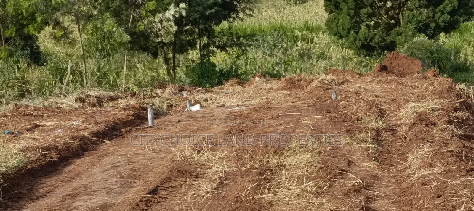 Spacious 50x100ft Plot in Kamangu Kikuyu - For Sale in Karai