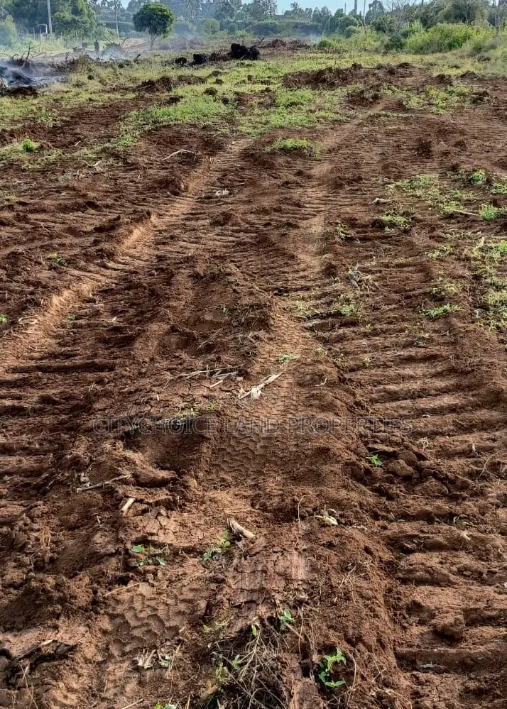 Ideal 50x100ft Residential Land: Invest Today, Build Tomorrow in Karai