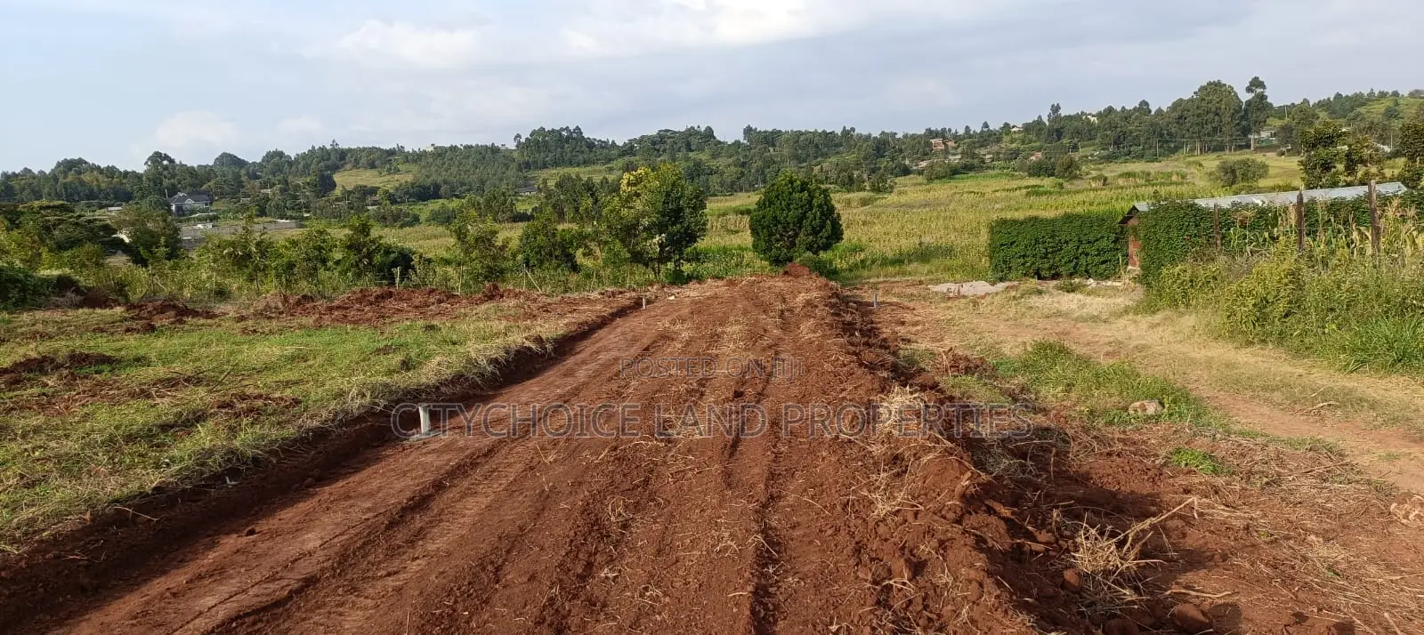 Ideal 50x100ft Residential Land: Invest Today, Build Tomorrow in Karai