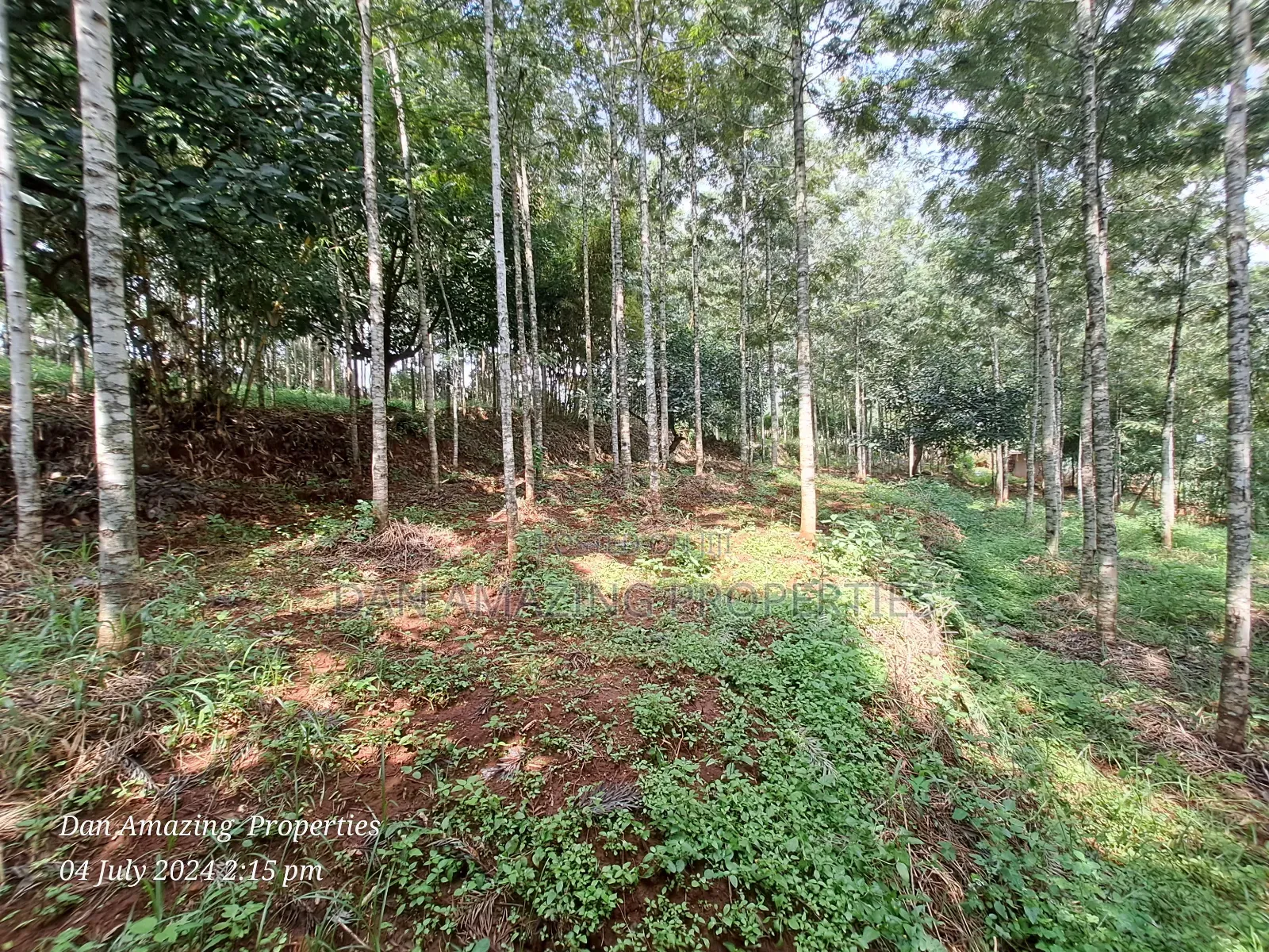 Warehouse-Equipped 3.5-Acre Farmland for Sale in Karen End in Ngong
