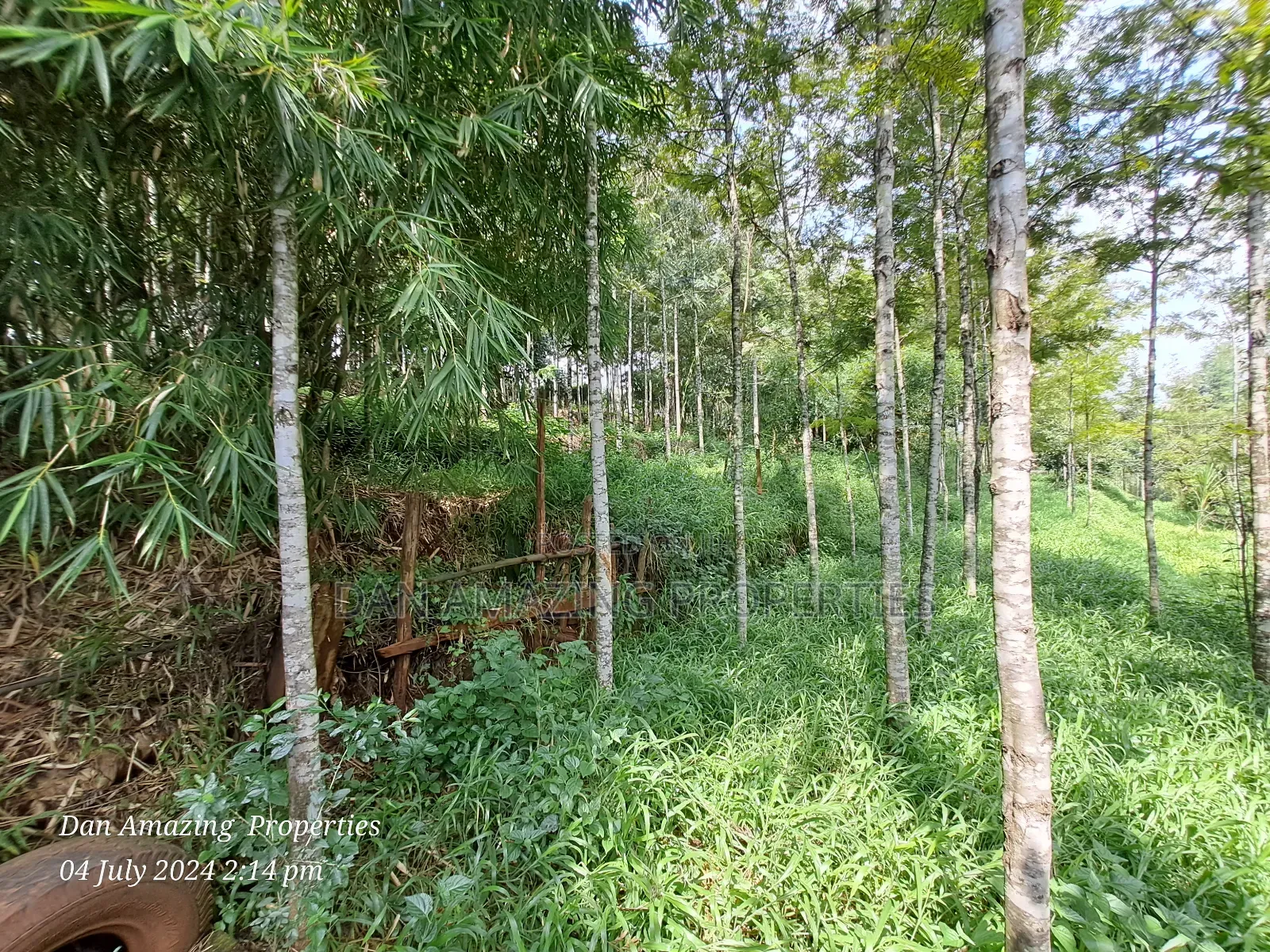 Warehouse-Equipped 3.5-Acre Farmland for Sale in Karen End in Ngong
