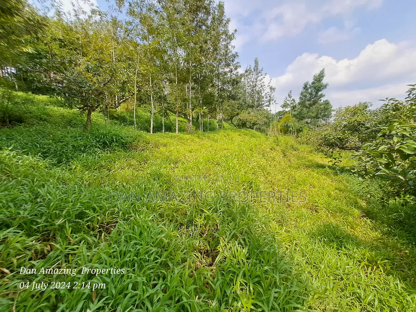 Warehouse-Equipped 3.5-Acre Farmland for Sale in Karen End in Ngong