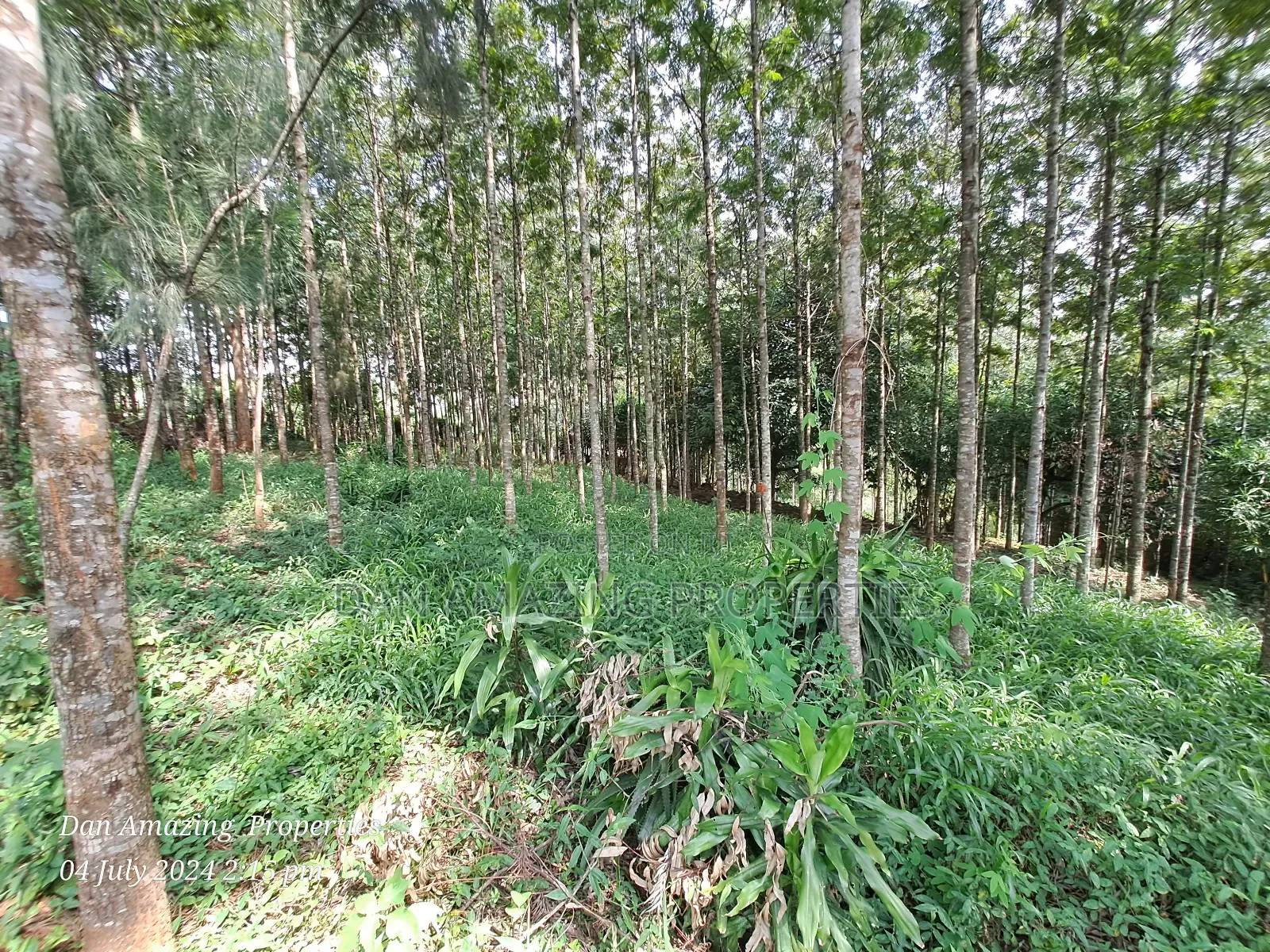 Warehouse-Equipped 3.5-Acre Farmland for Sale in Karen End in Ngong