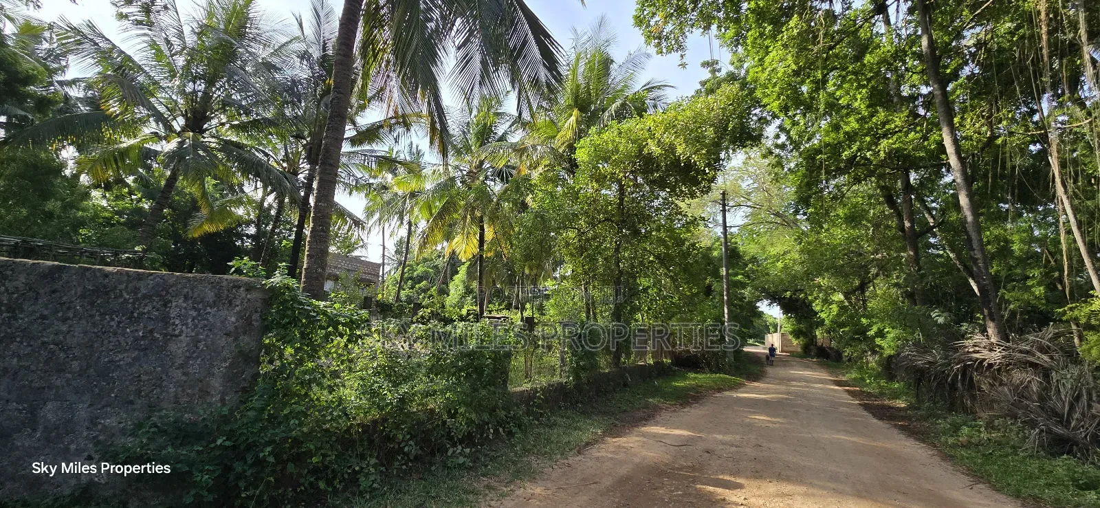 Kikambala Beachfront Property: 1-Acre Plot Available Now in Kikambala