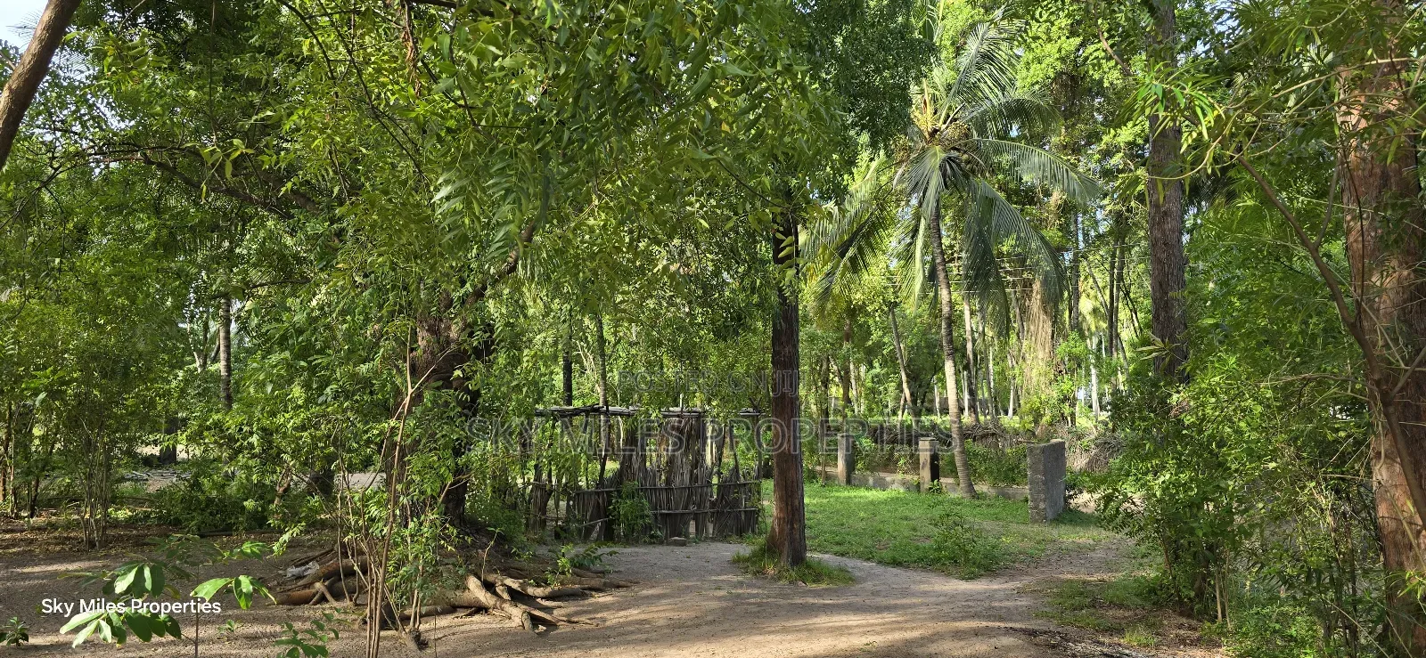 Kikambala Beachfront Property: 1-Acre Plot Available Now in Kikambala
