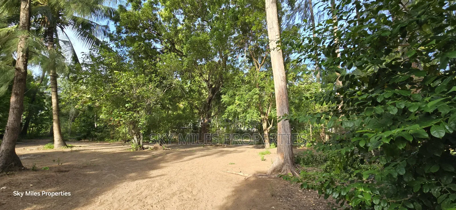 Kikambala Beachfront Property: 1-Acre Plot Available Now in Kikambala