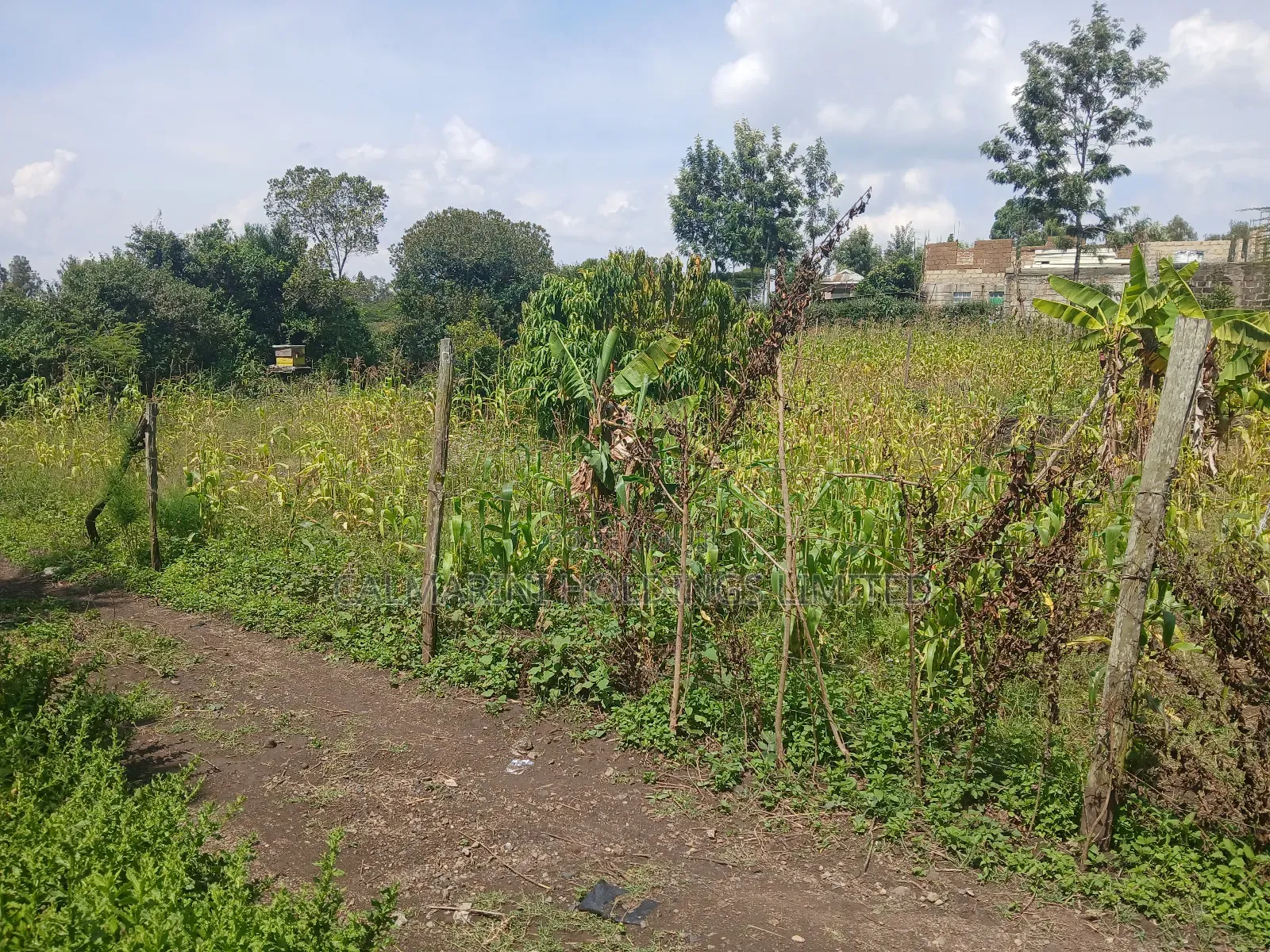 Stunning 8-Acre Land in Merisho, Matasia - Don't Miss Out! in Matasia