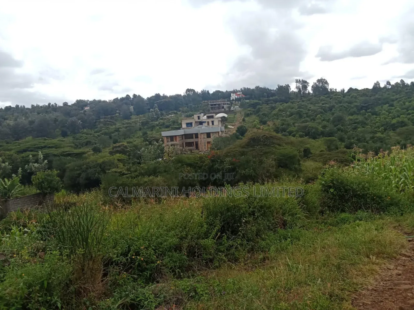 5-Acre Property in Merisho, Matasia: Ideal for Development in Matasia