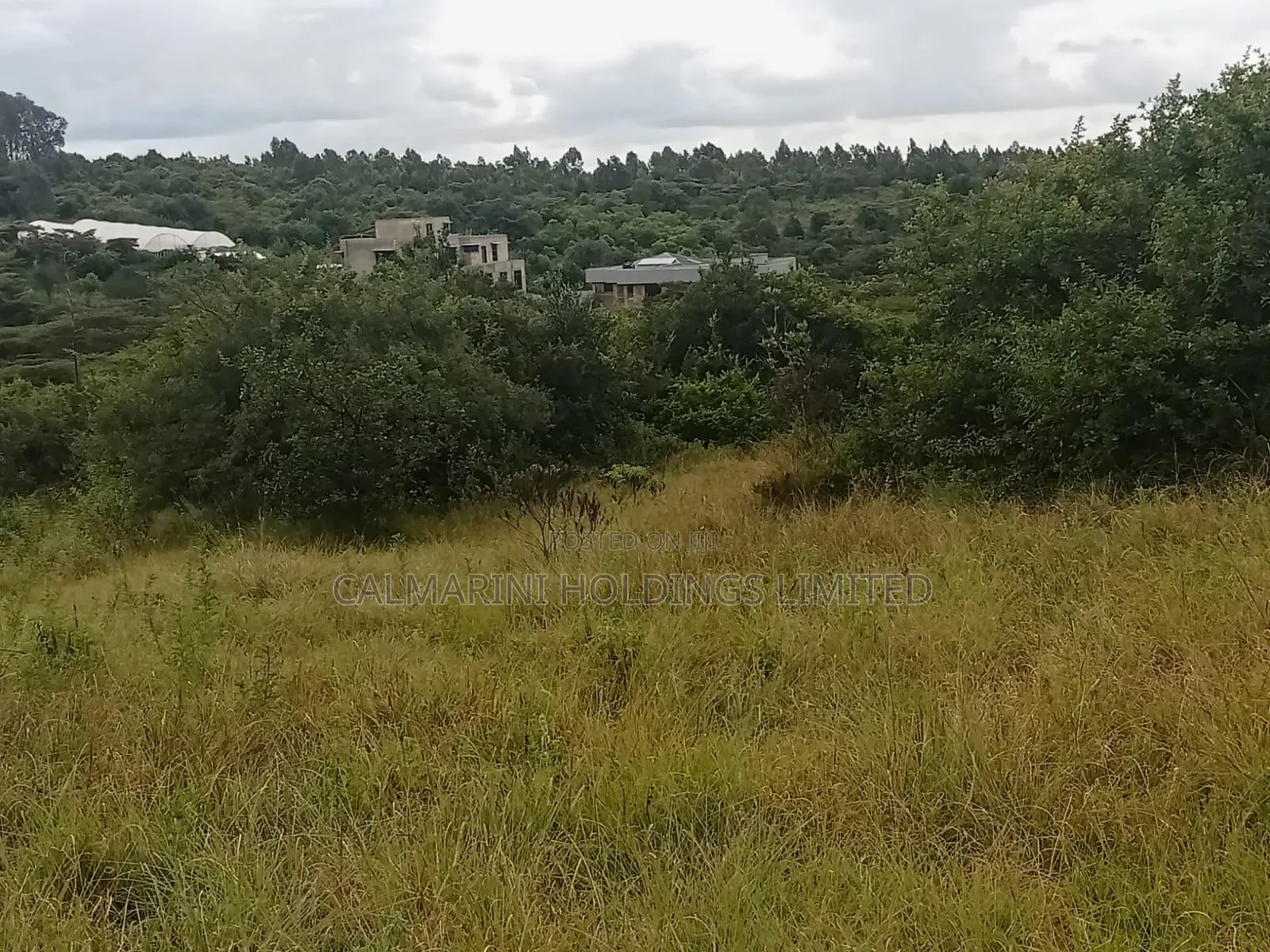 5-Acre Property in Merisho, Matasia: Ideal for Development in Matasia