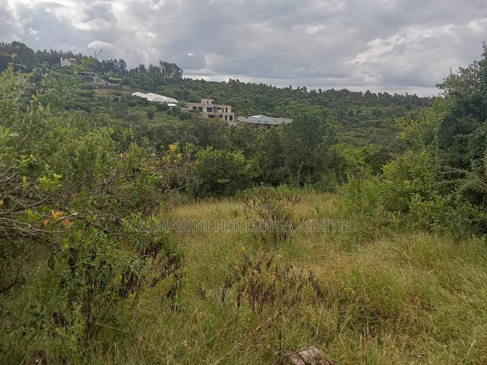 5-Acre Property in Merisho, Matasia: Ideal for Development in Matasia