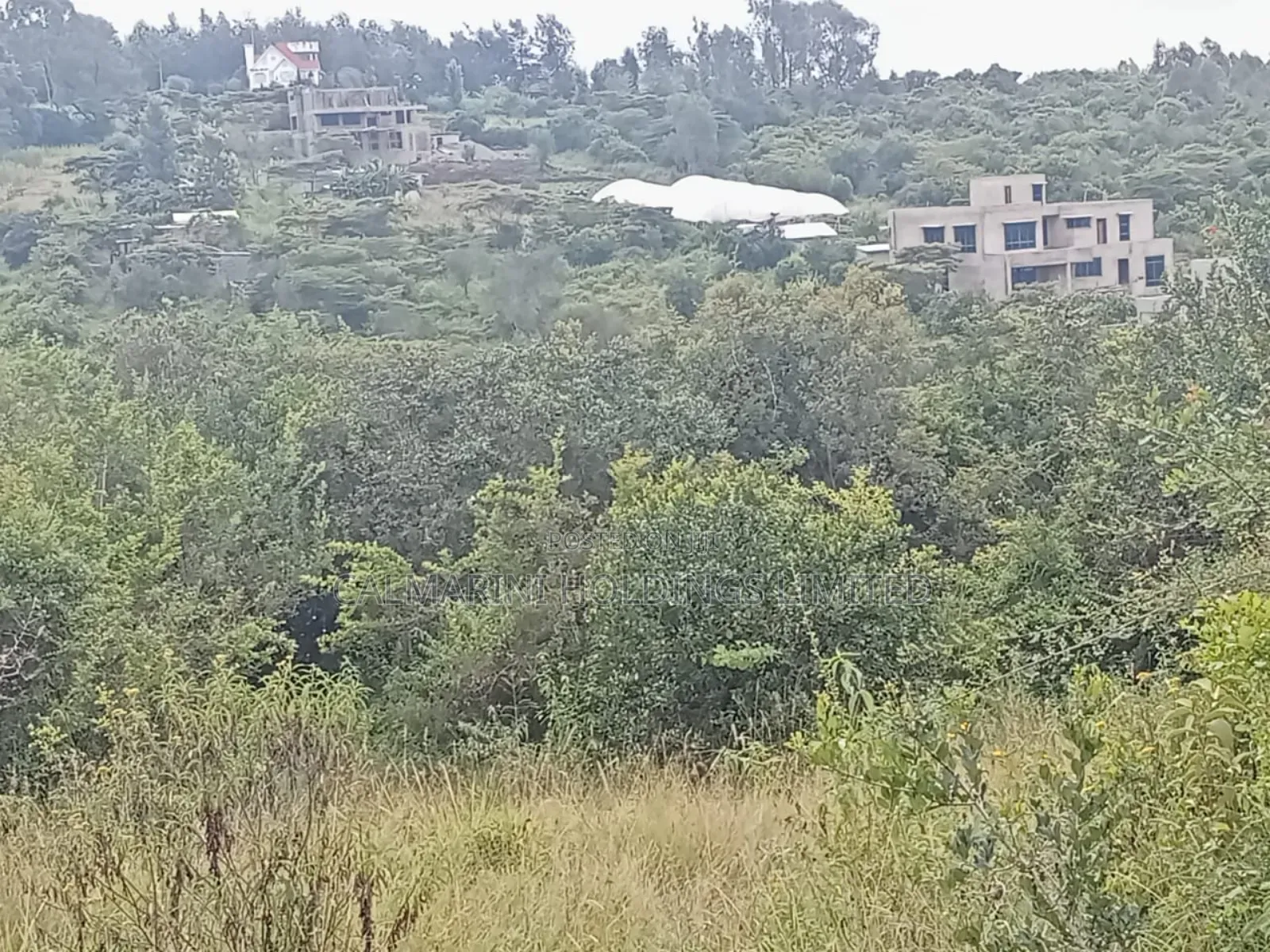 5-Acre Property in Merisho, Matasia: Ideal for Development in Matasia