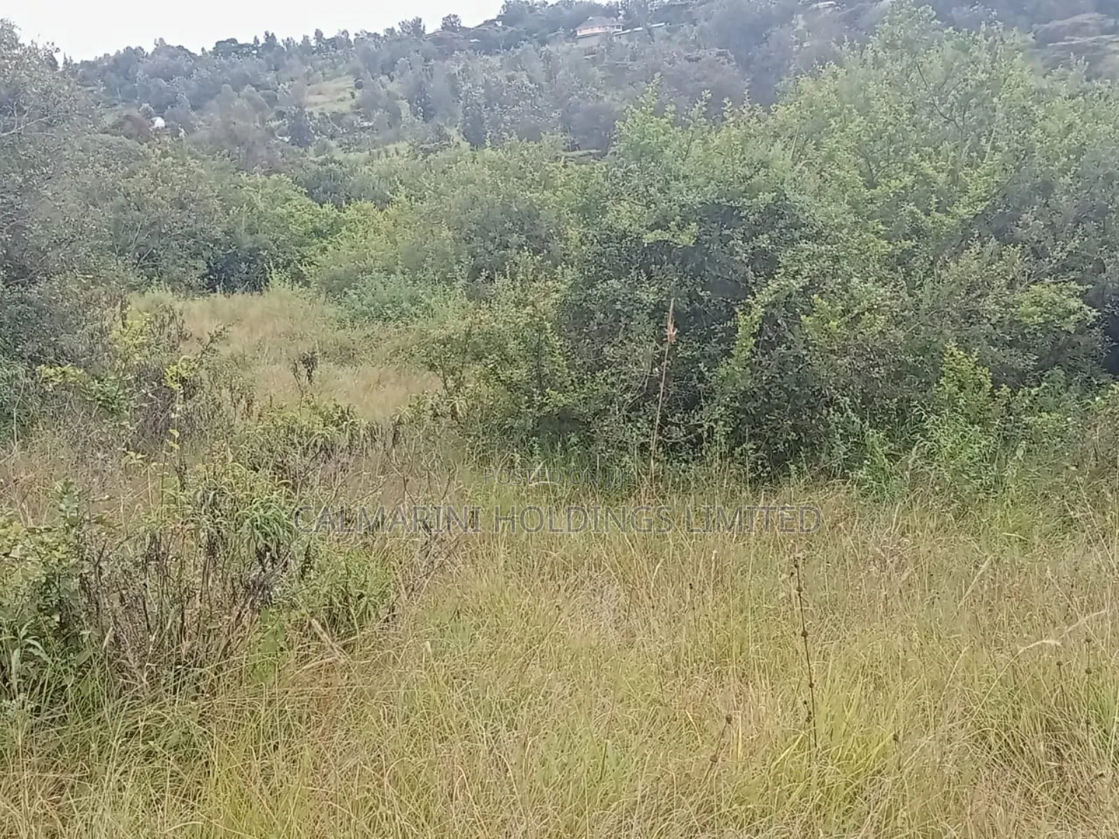 100x100 Land for Sale in Merisho, Matasia in Matasia