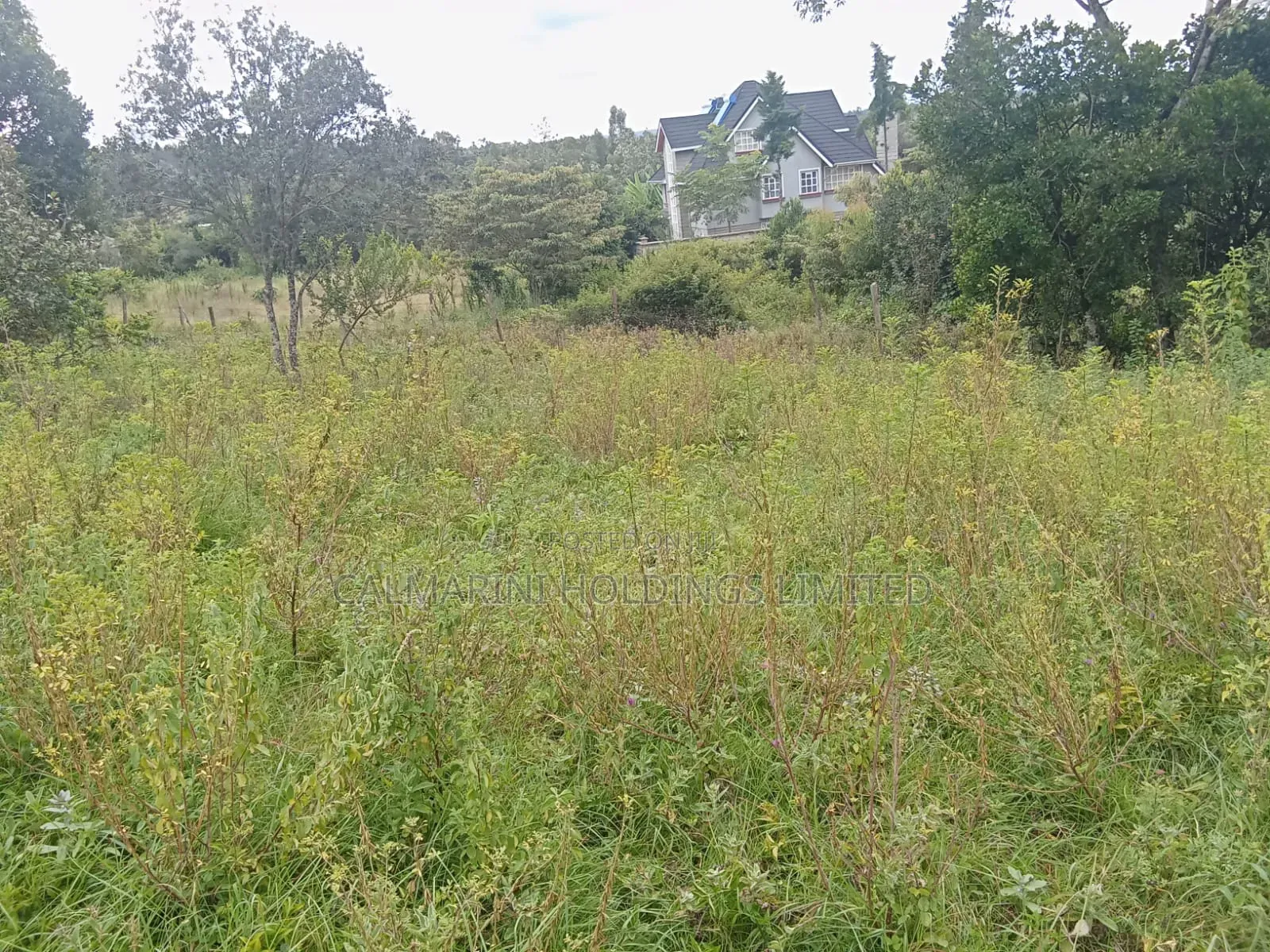 100x100 Land for Sale in Merisho, Matasia in Matasia