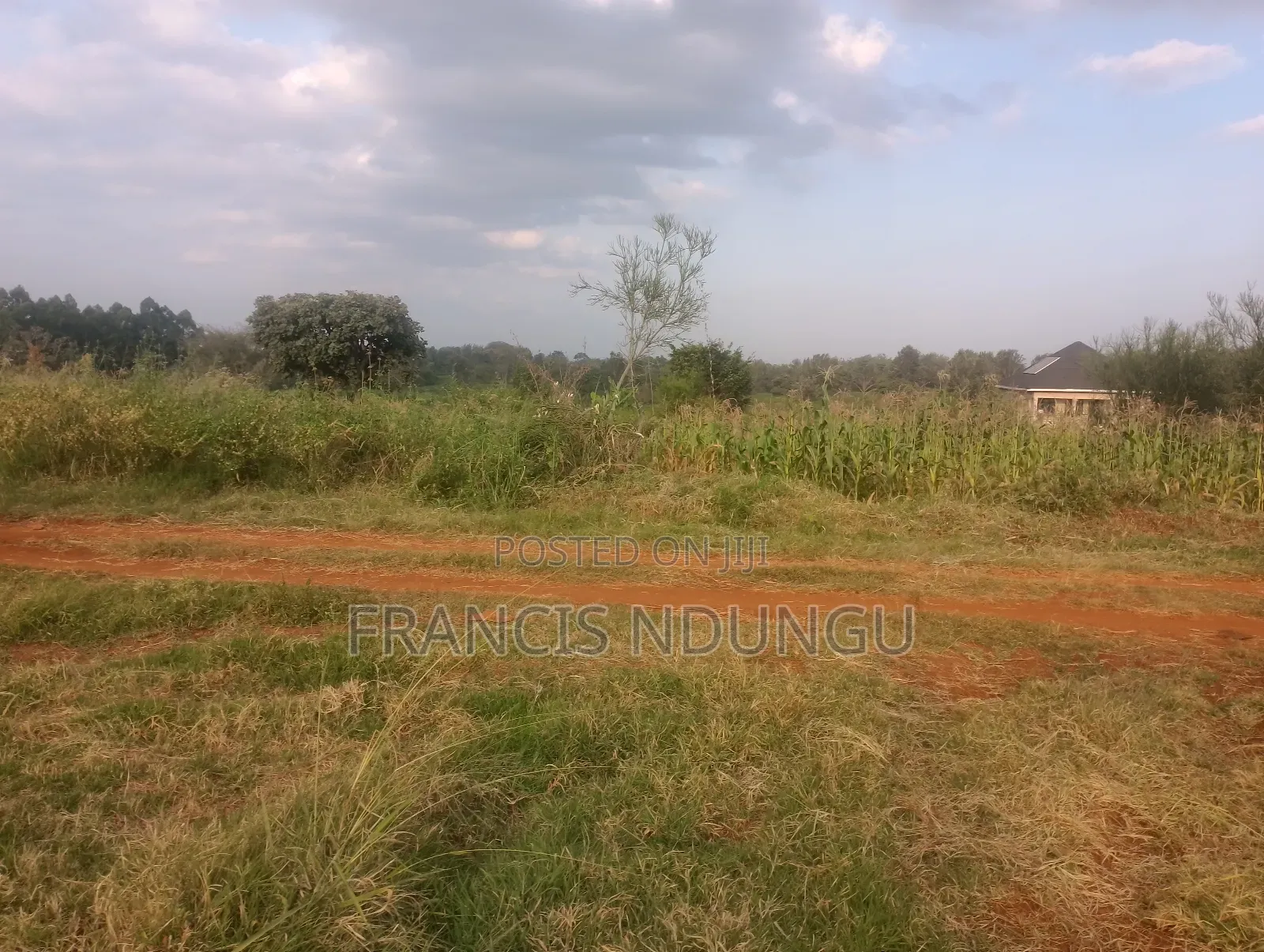 Kiambu Municipality: Buy Your Dream Home at Kiora Estate Today in Riabai