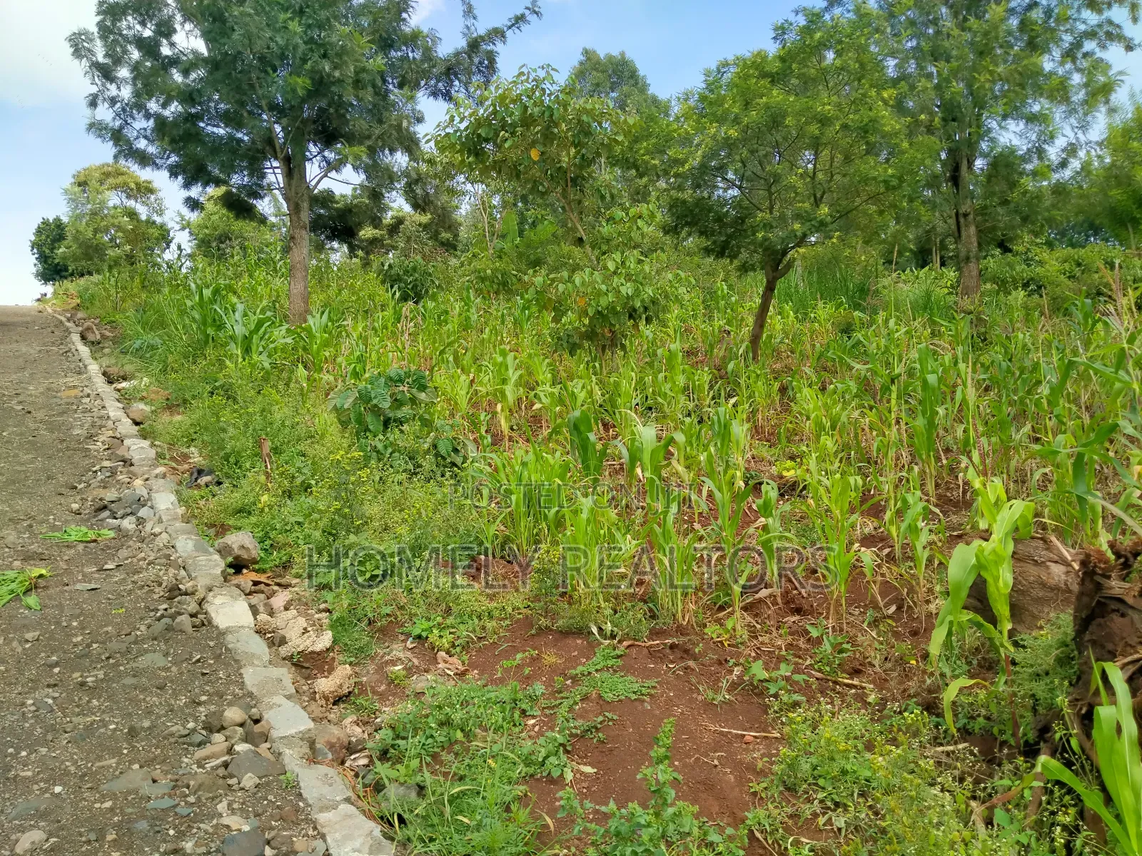 Ngong: Maragara Road Eighth Acre Residential Plot Available in Ngong