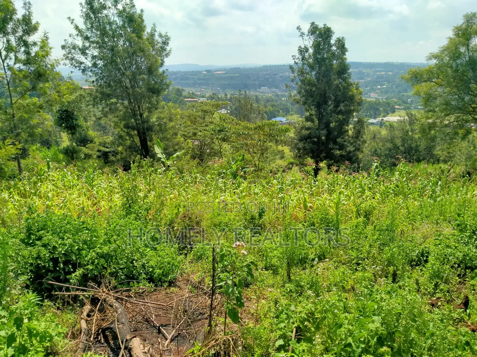 Ngong: Maragara Road Eighth Acre Residential Plot Available in Ngong