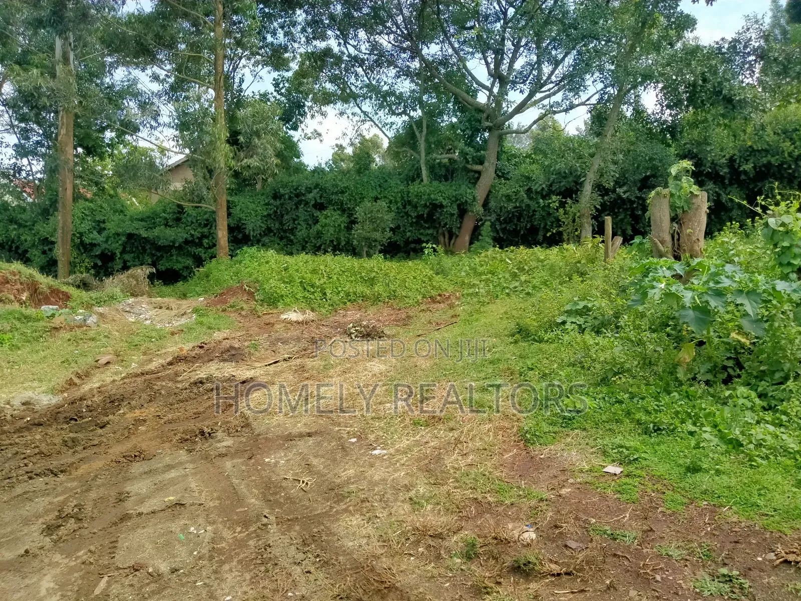 Residential Quarter Acre Land in Ngong Lemiso Rd - Tarmac Neighborhood in Ngong
