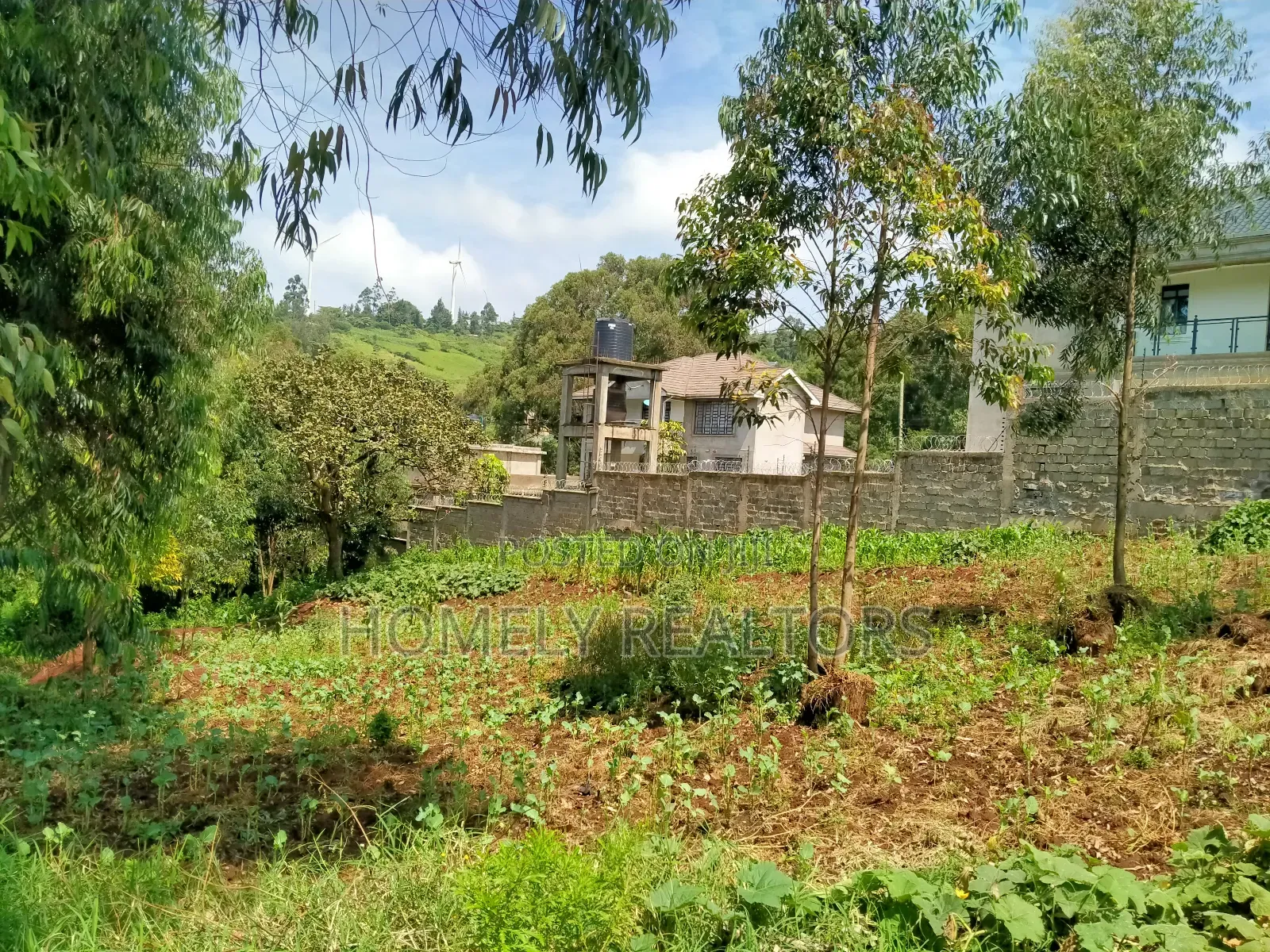 Affordable 1/4 Acre Land for Sale in Ngong - Lemiso Road, Tarmac Access in Ngong