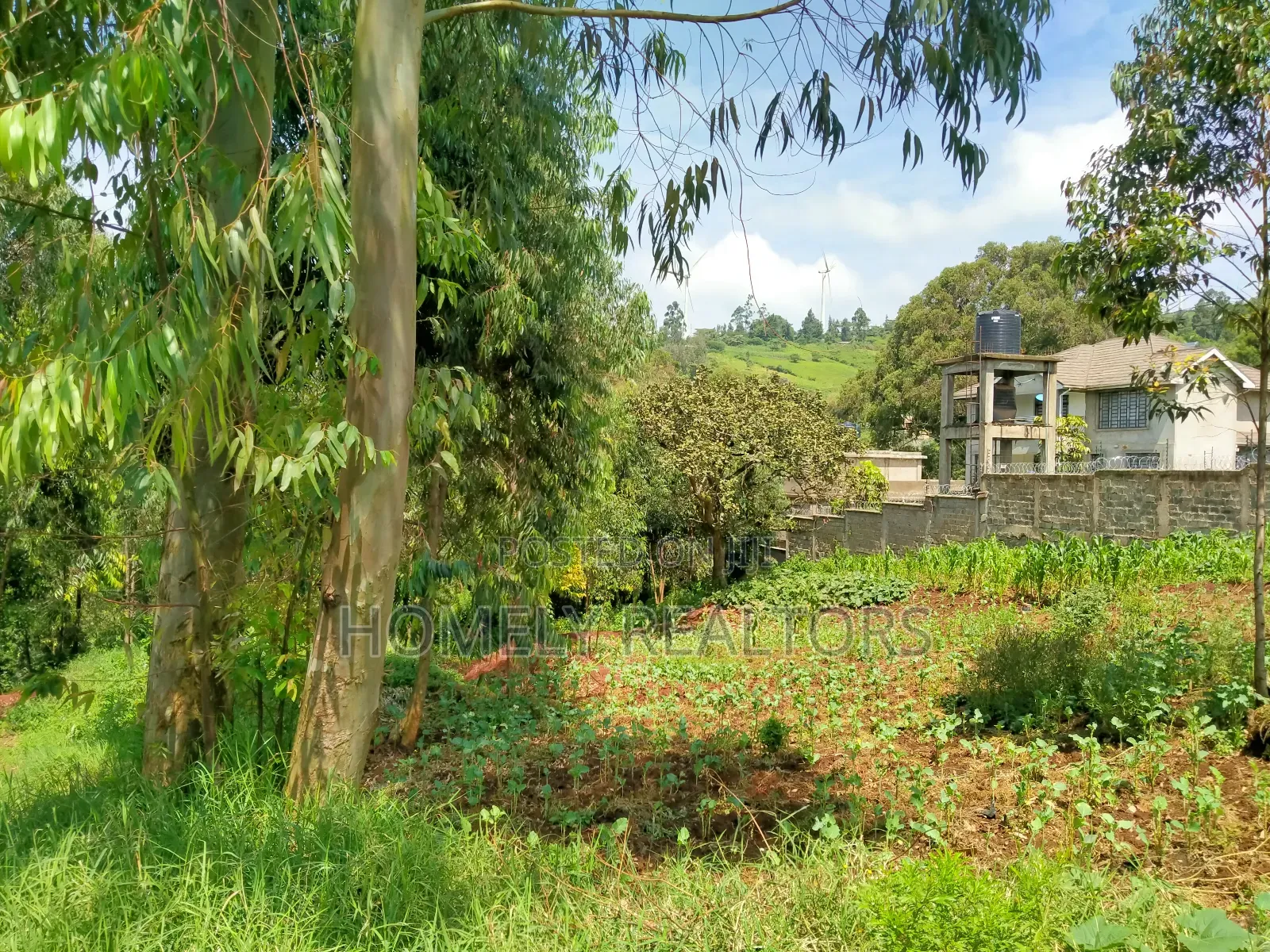 Affordable 1/4 Acre Land for Sale in Ngong - Lemiso Road, Tarmac Access in Ngong