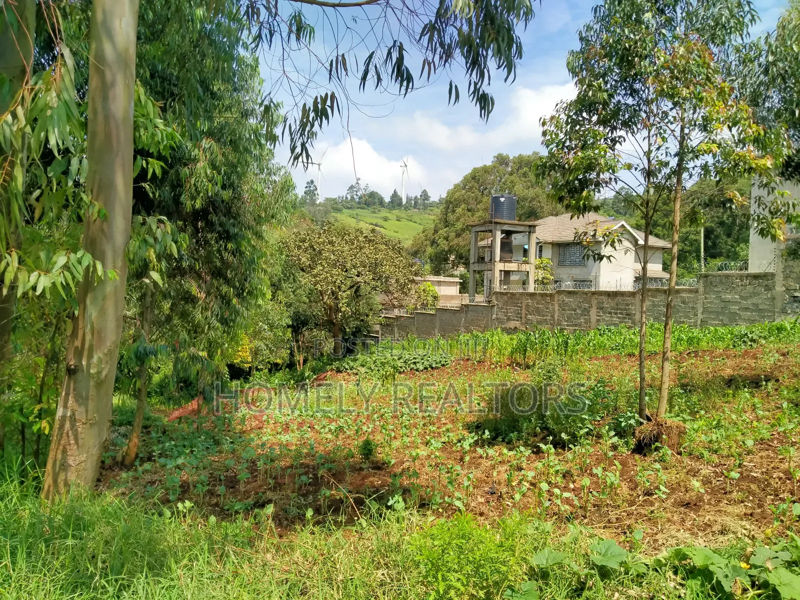 Affordable 1/4 Acre Land for Sale in Ngong - Lemiso Road, Tarmac Access in Ngong