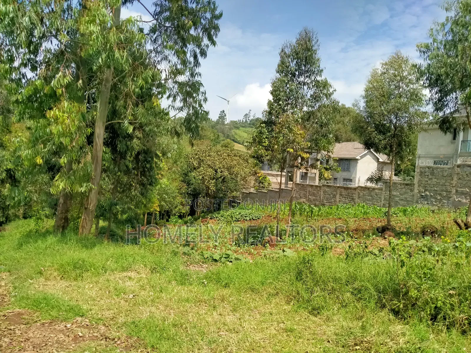 Affordable 1/4 Acre Land for Sale in Ngong - Lemiso Road, Tarmac Access in Ngong