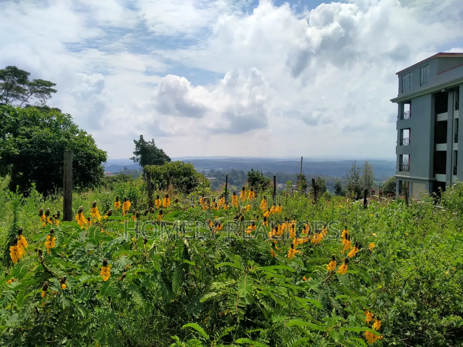 Ngong Half Acre Scenic: 2nd Row Plot on Lemiso Road in Ngong
