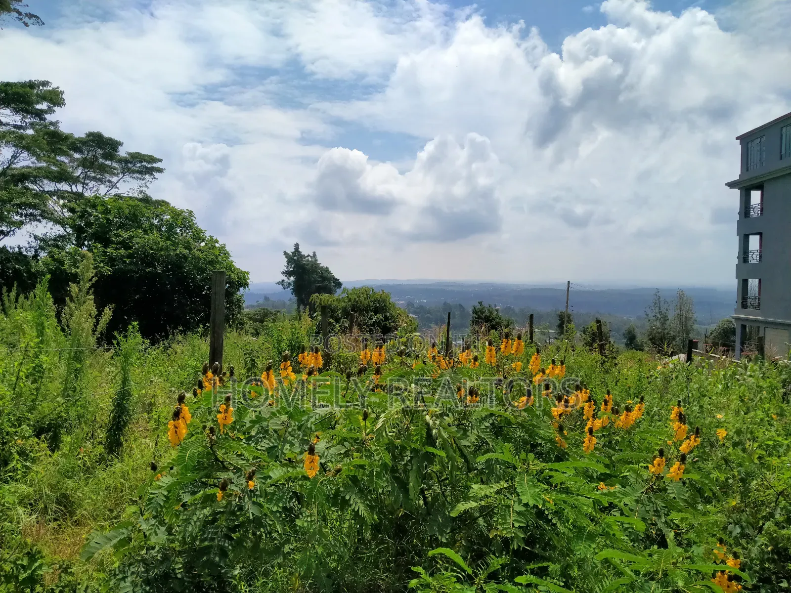 Ngong Half Acre Scenic: 2nd Row Plot on Lemiso Road in Ngong