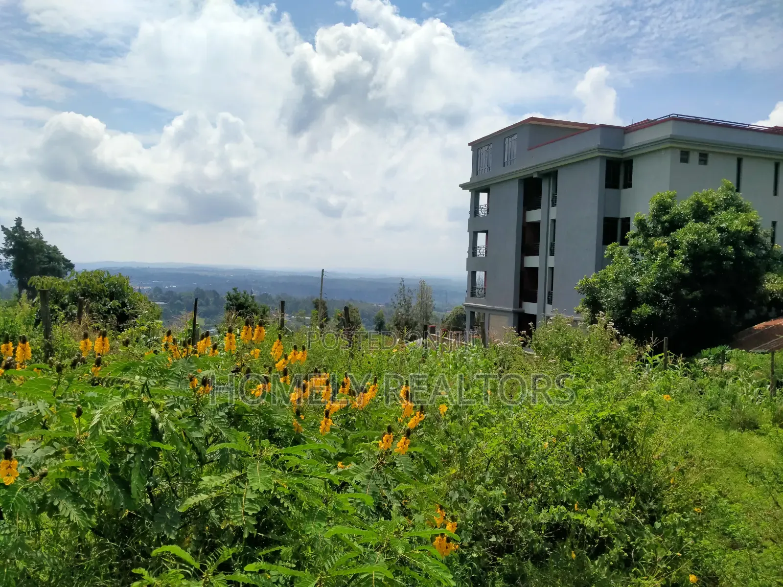 Ngong Half Acre Scenic: 2nd Row Plot on Lemiso Road in Ngong