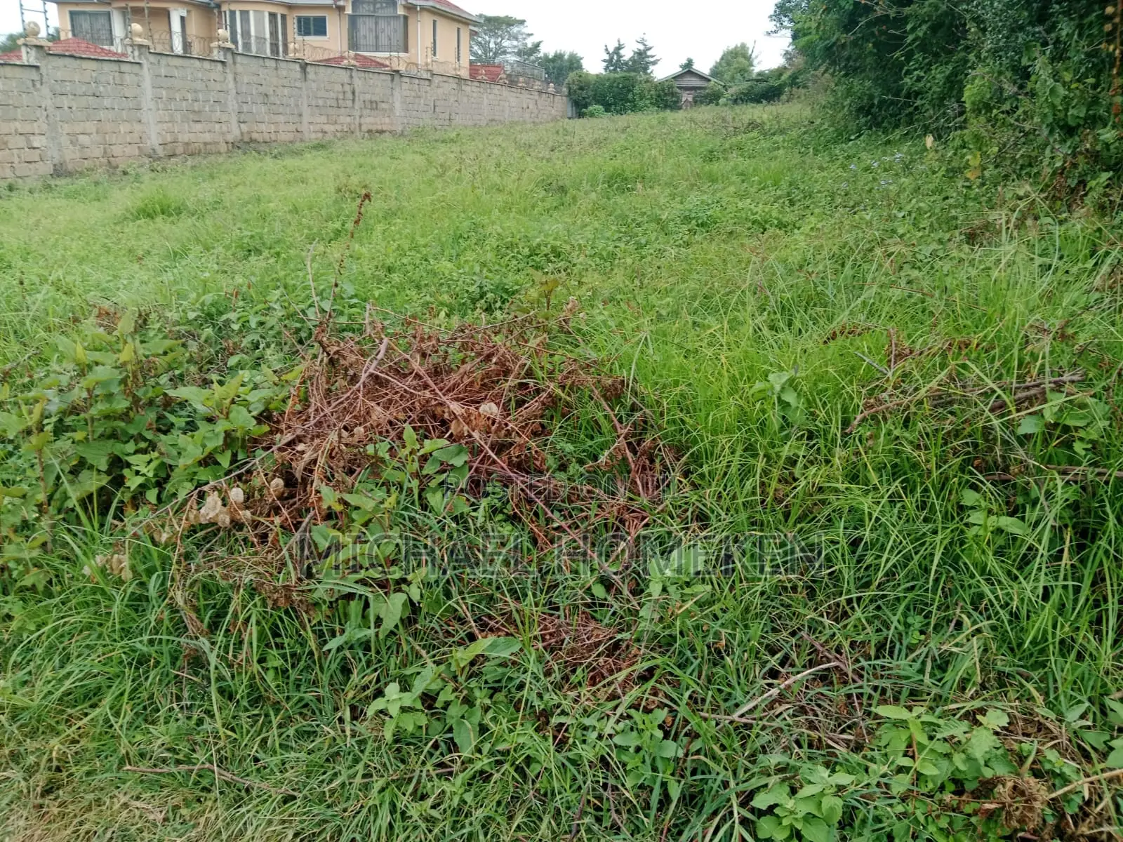 Ngong 1/4 Acre Land - A Prime Location for Your Next Project - For Sale! in Kibiku