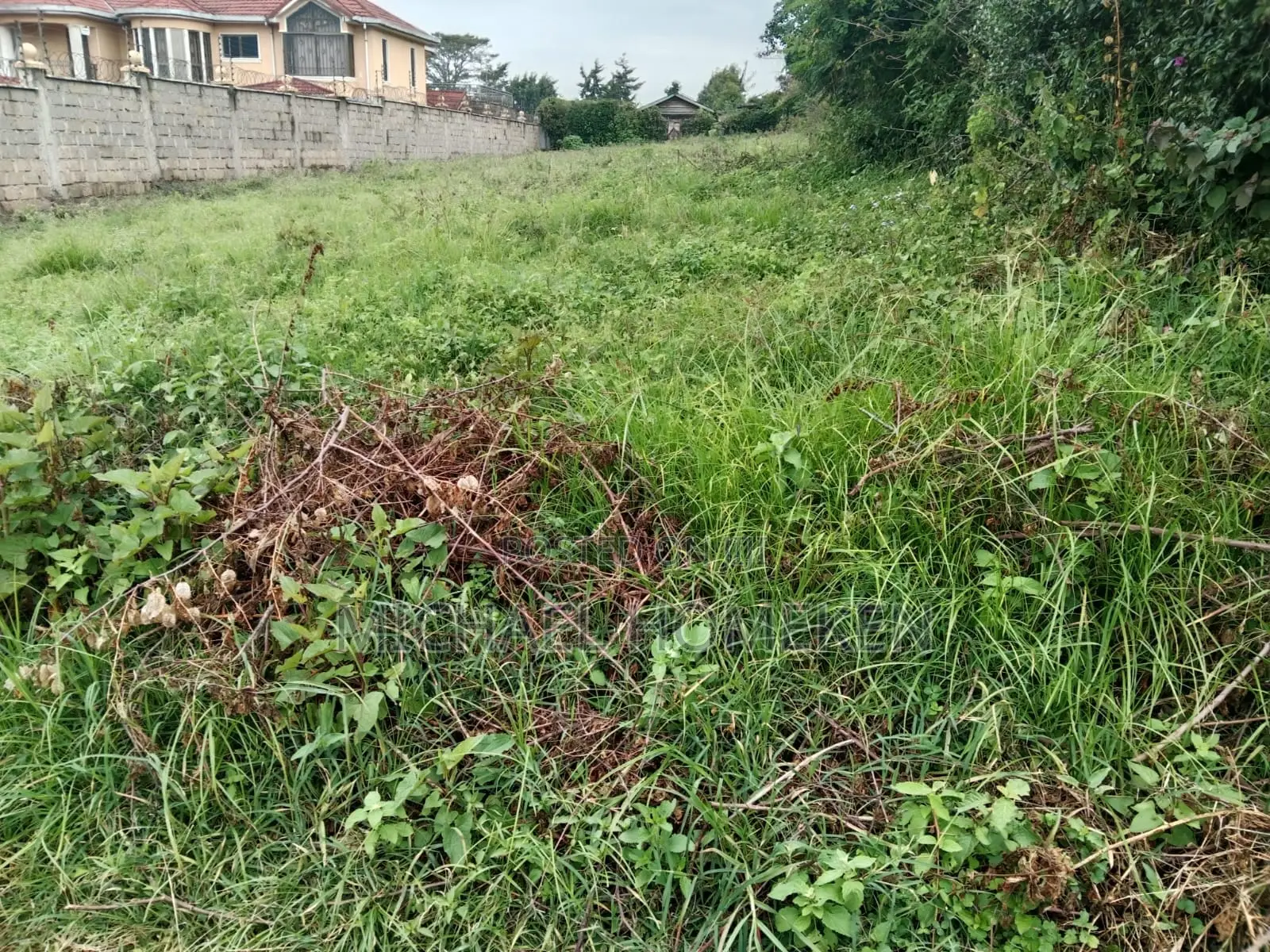 Ngong 1/4 Acre Land - A Prime Location for Your Next Project - For Sale! in Kibiku