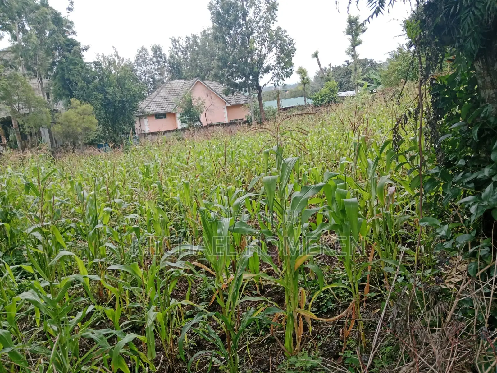 Affordable 1/4 Acre Plot in Ololua, Ngong for Sale in Oluulua
