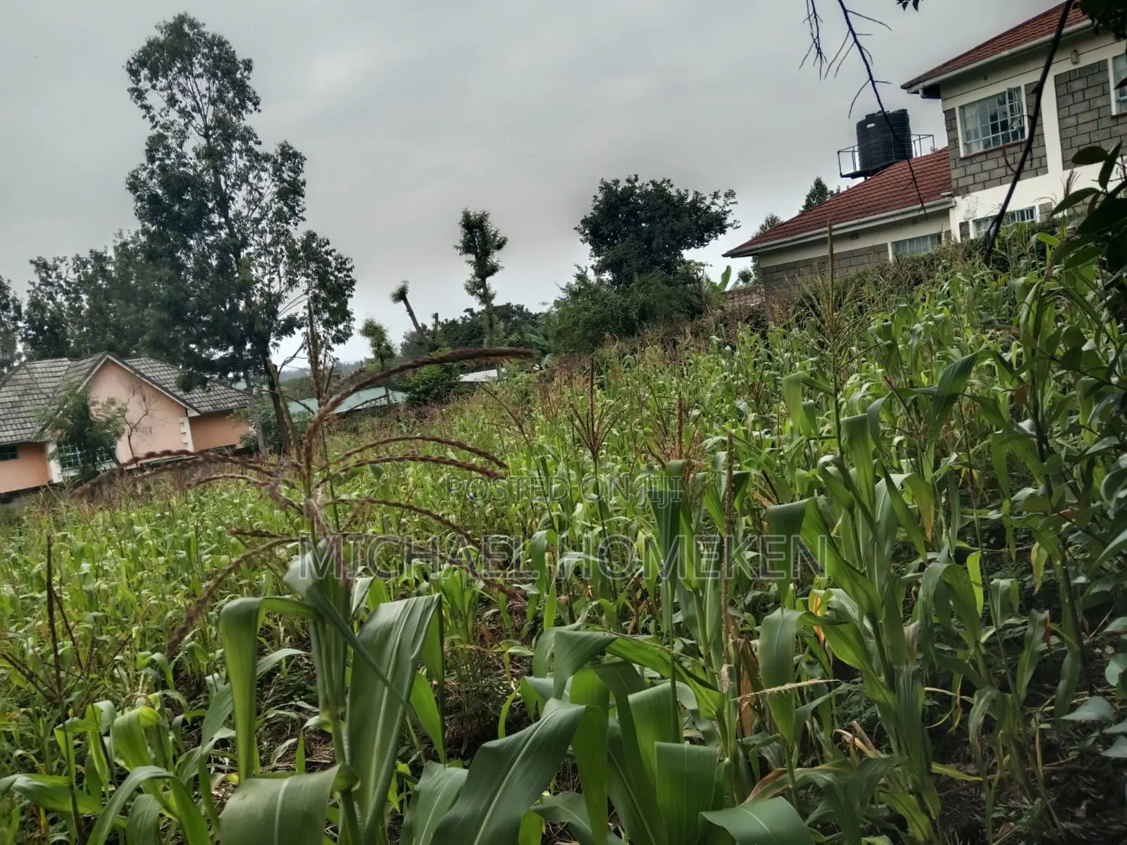 Affordable 1/4 Acre Plot in Ololua, Ngong for Sale in Oluulua