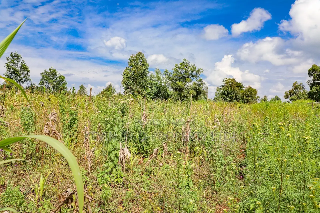 Kamangu -Ng’Amba, Kikuyu - Prime Residential Land for Sale in Kikuyu