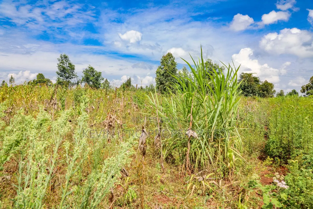 Kamangu -Ng’Amba, Kikuyu - Prime Residential Land for Sale in Kikuyu