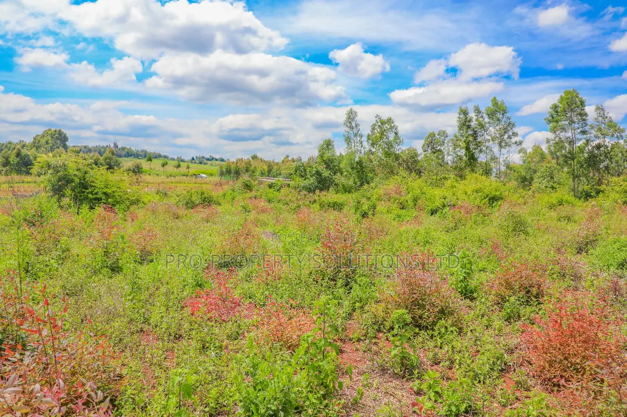 Residential Plots in Ondiri, Kikuyu: Prime Real Estate in Kikuyu