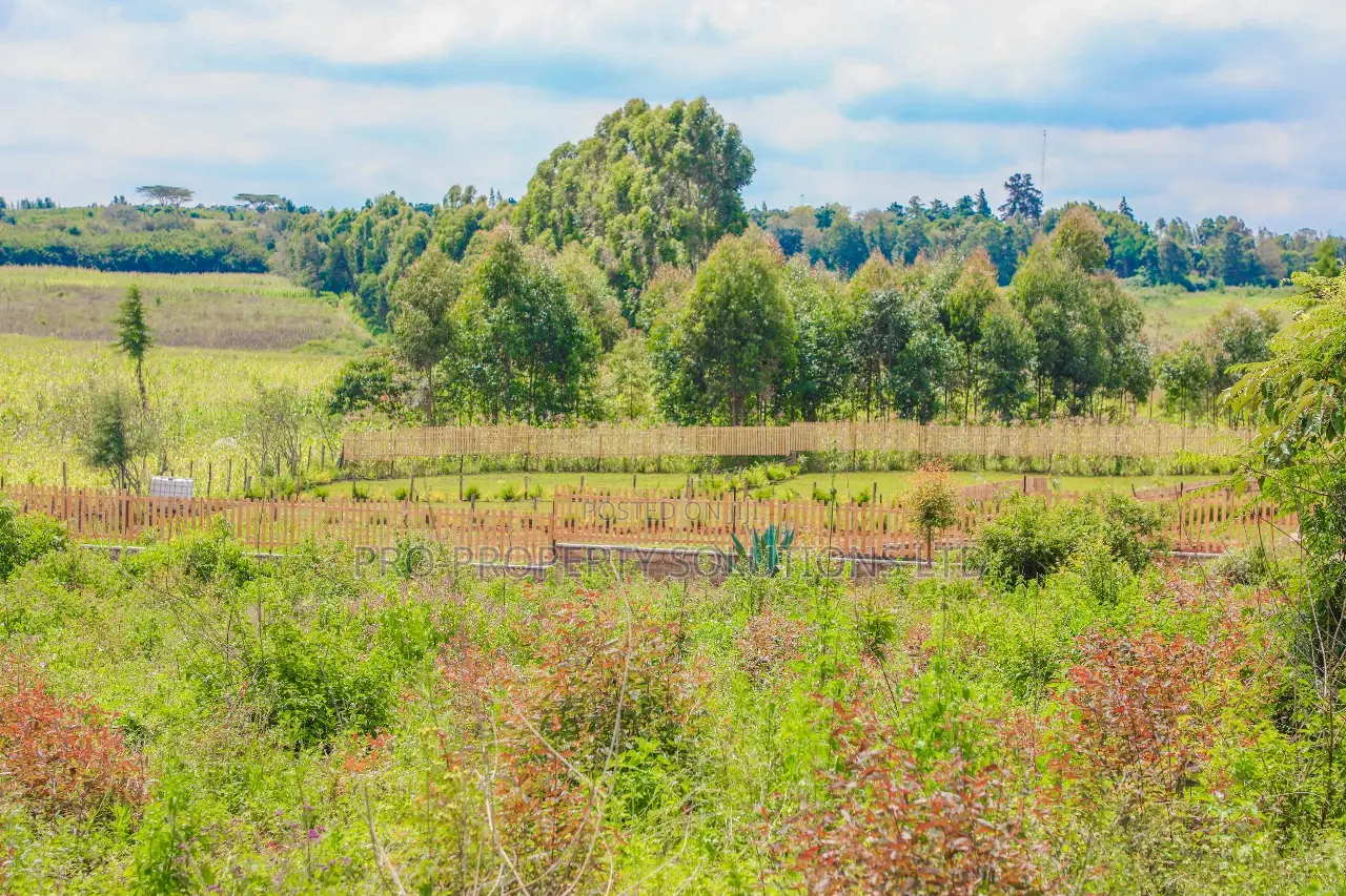Residential Plots in Ondiri, Kikuyu: Prime Real Estate in Kikuyu
