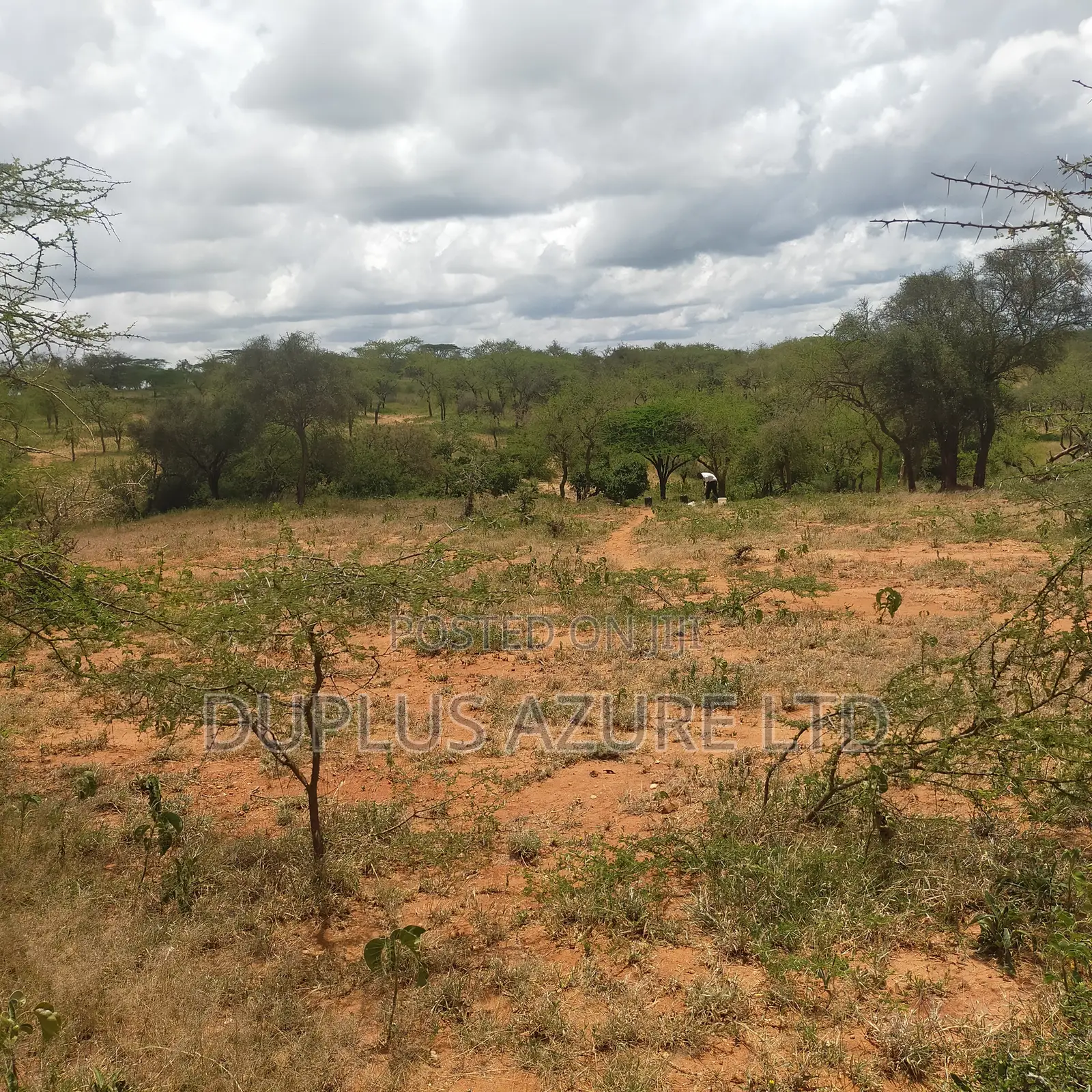 Invest in 2 Acres Land in Kajiado: Agriculture or Development Opportunity in DalaleKutuk