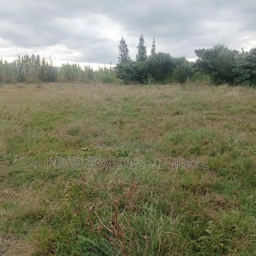 50 x 100 Plot in Kiserian's Happy Land Educational Centre for Sale in Kandisi