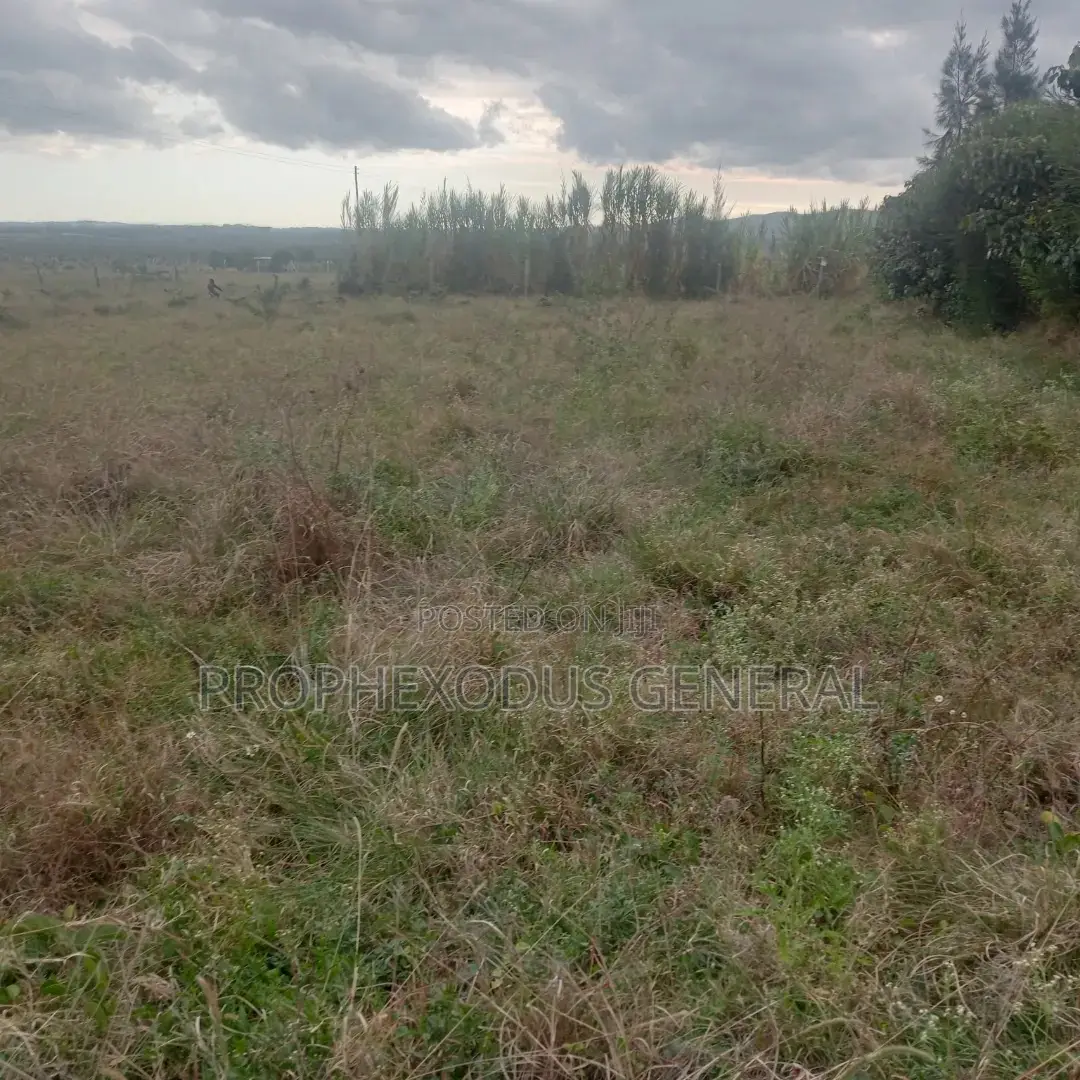 50 x 100 Plot in Kiserian's Happy Land Educational Centre for Sale in Kandisi