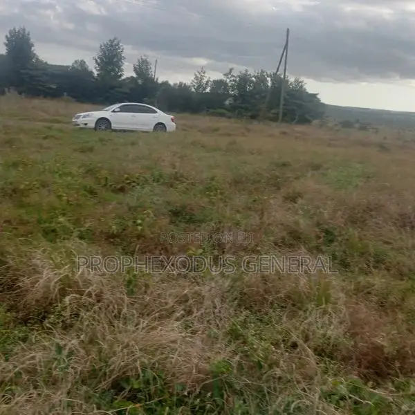50 x 100 Plot in Kiserian's Happy Land Educational Centre for Sale in Kandisi