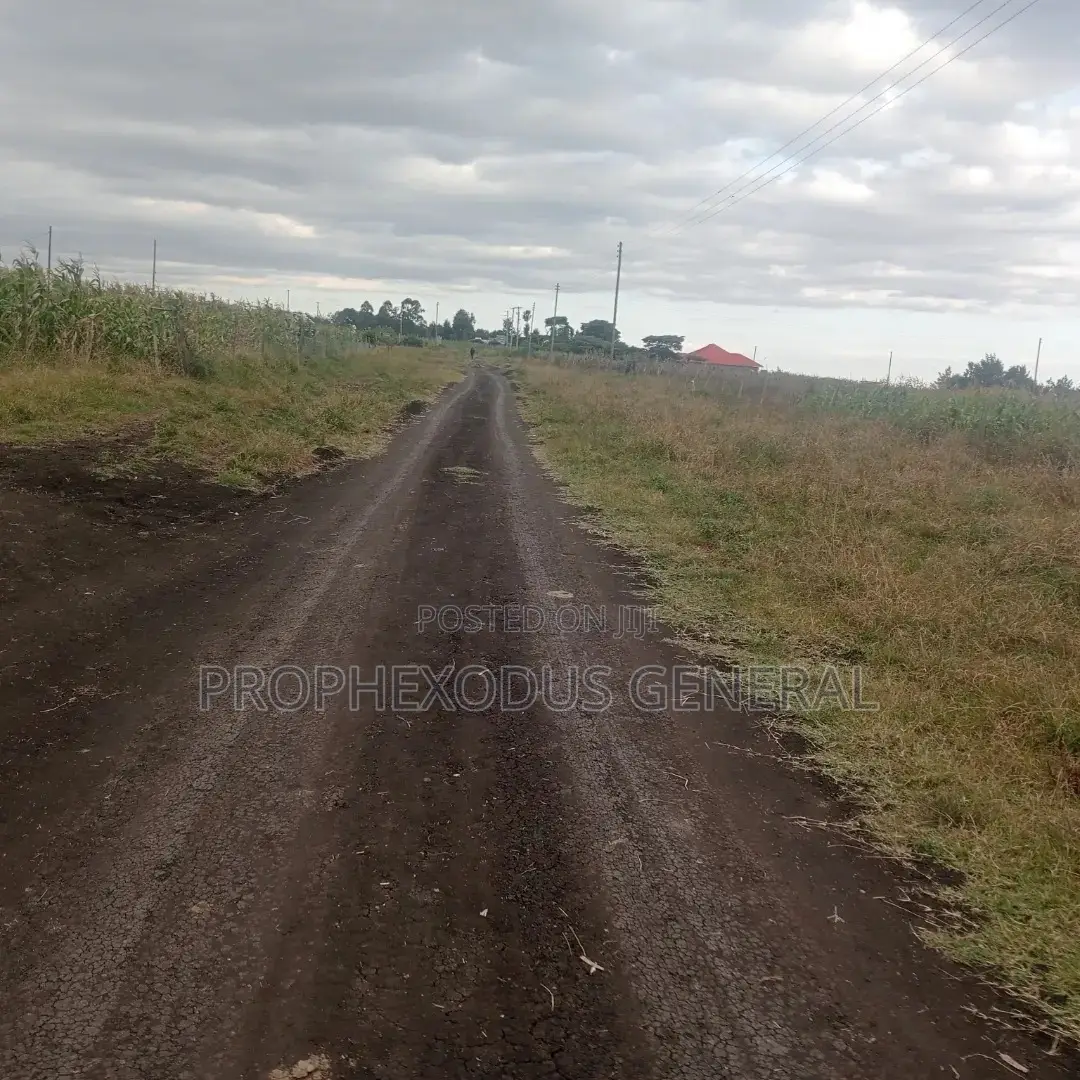 50 x 100 Plot in Kiserian's Happy Land Educational Centre for Sale in Kandisi