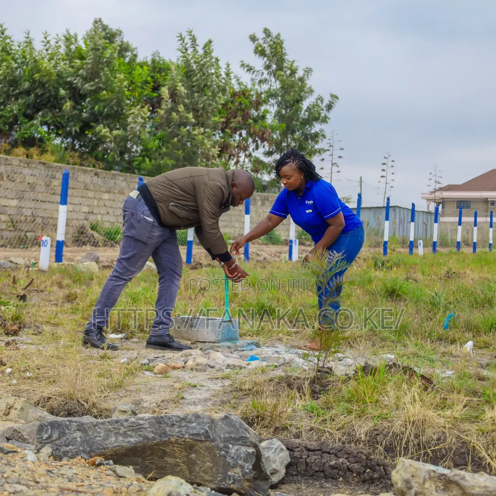 Genuine Katani Plots at 2.3M Ww ^ in Katani