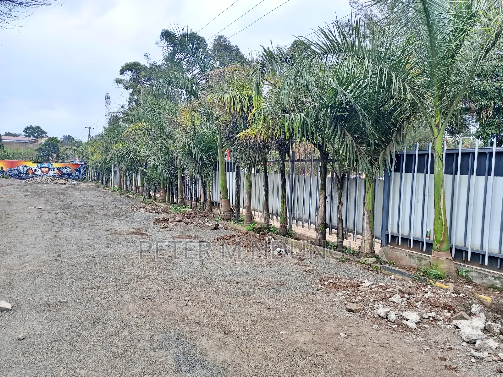 Prime 1/2 Acre Land Offering - Thome 5, Mountain Mall Real Estate in Thome