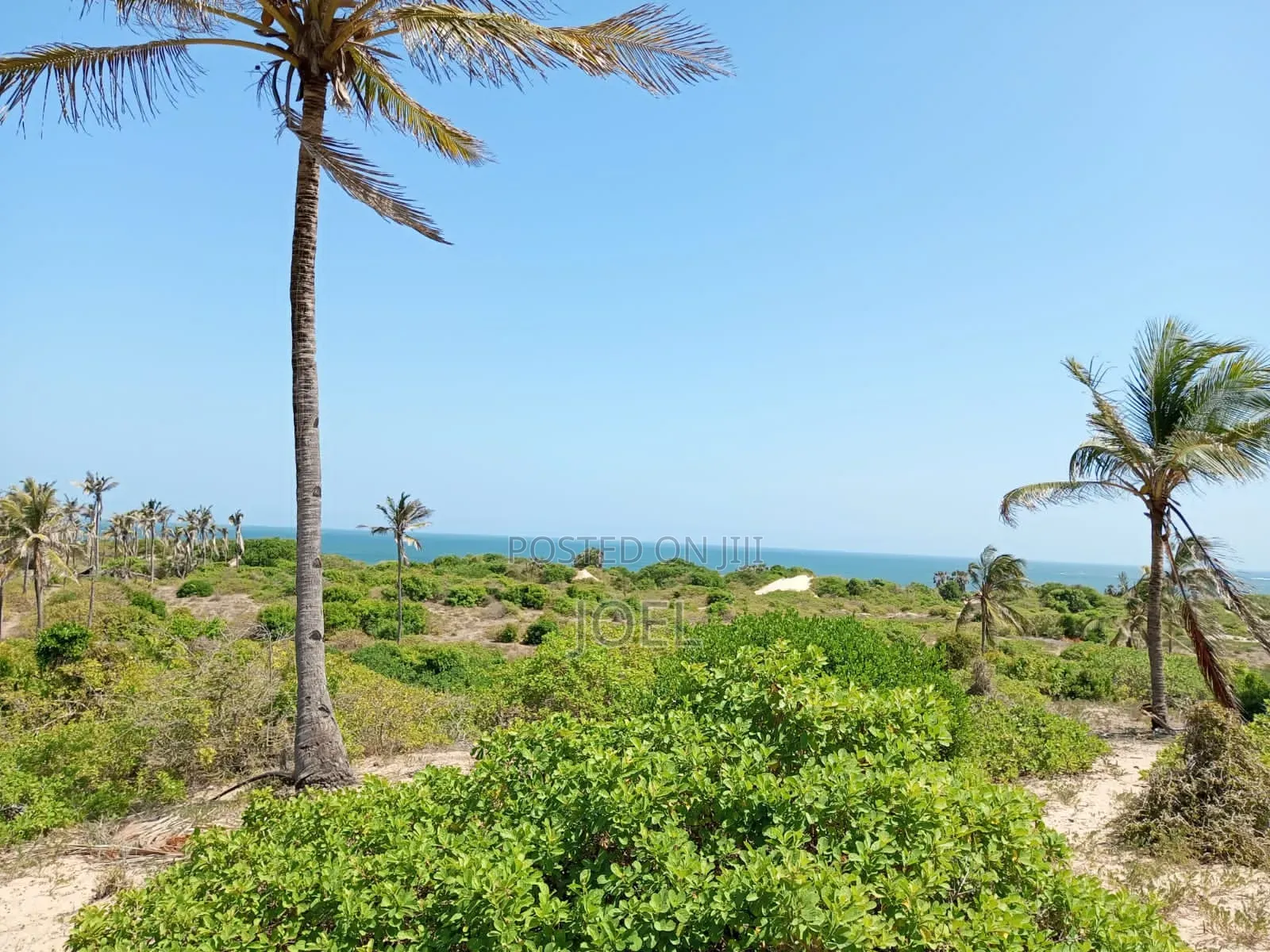Invest in a 20-Acre Beachfront Property in Watamu, Kenya Today in Malindi