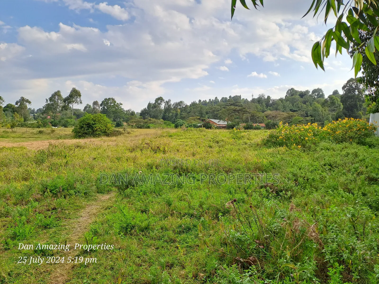 50x100 Plot in Oloololua Imani Centre - Ready for Purchase in Oluulua