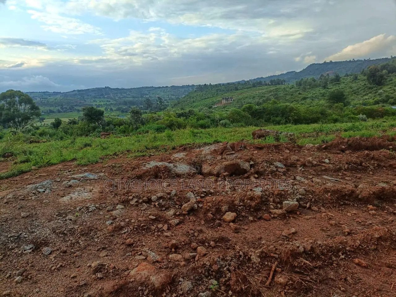 Affordable 50 X 100ft Plots for Sale in Ndiguini, Kikuyu - Secure Your Future Today! in Karai