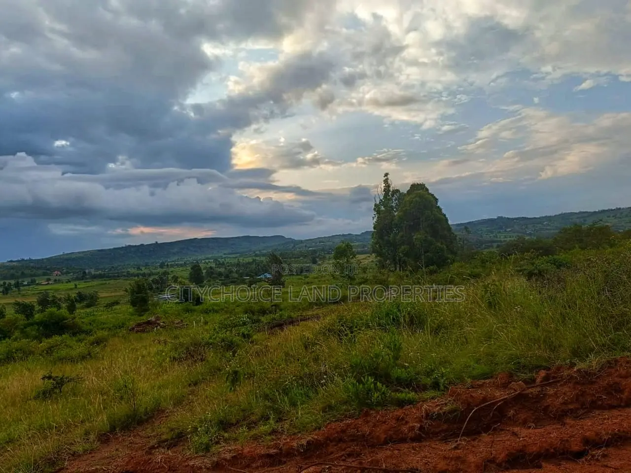 Affordable 50 X 100ft Plots for Sale in Ndiguini, Kikuyu - Secure Your Future Today! in Karai